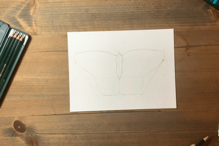 Butterfly Drawing Tutorial: Realistic Butterfly with Coloured Pencils