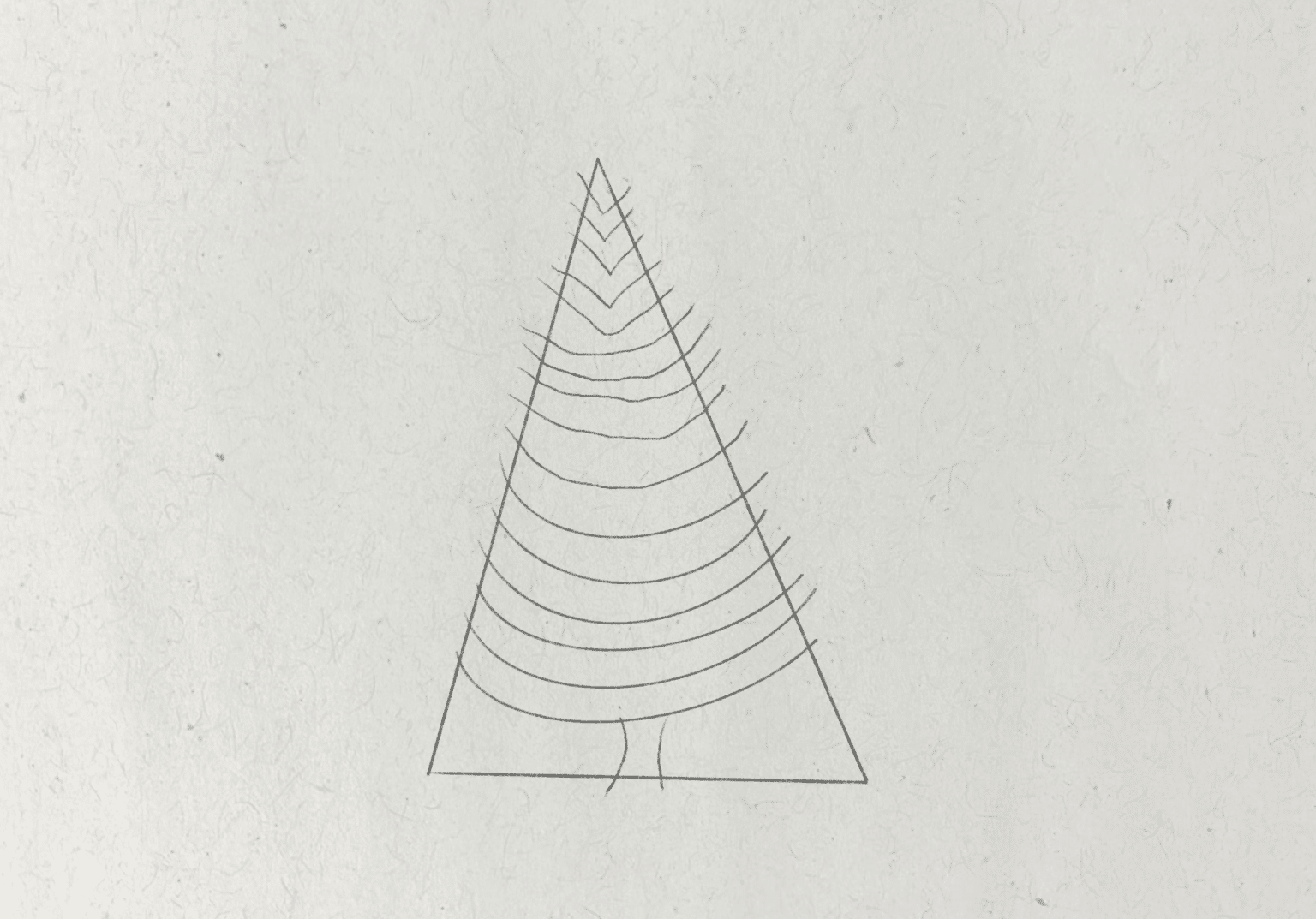 How to Draw a Fir Tree